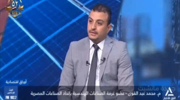 تطور جديد.. دعوة للتوسع في صناعات البيلت من خامات الحديد الأولية لخفض فاتورة الاستيراد 1